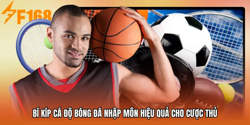 Bí kíp cá độ bóng đá nhập môn hiệu quả cho cược thủ